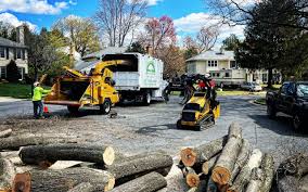 Seasonal Cleanup (Spring/Fall) in Hinesville, GA