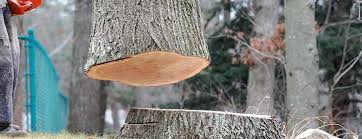 Best Emergency Tree Removal  in Hinesville, GA
