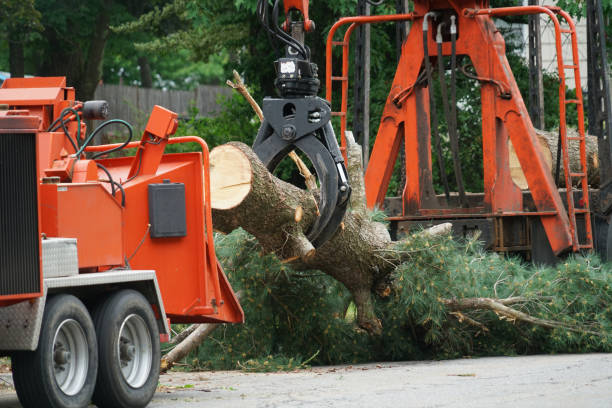 Best Aeration Services  in Hinesville, GA
